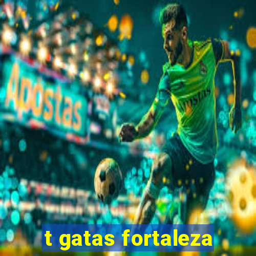 t gatas fortaleza